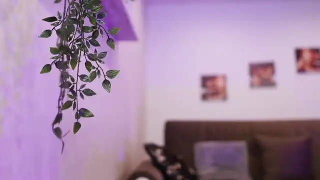 Iceeyes1 – Myfreecams Recorded Cam Show – 2025-08-21 17:10:04