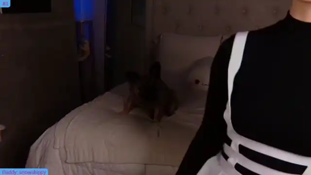 Snowkitty – Myfreecams Recorded Cam Show – 2025-03-30 00:34:33