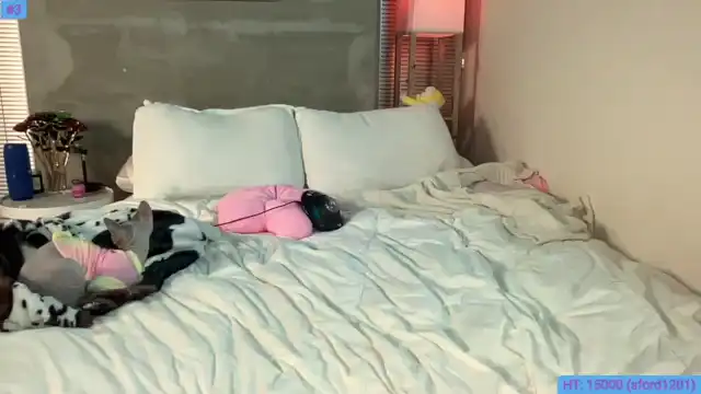 Snowkitty – Myfreecams Recorded Cam Show – 2026-07-15 00:48:27