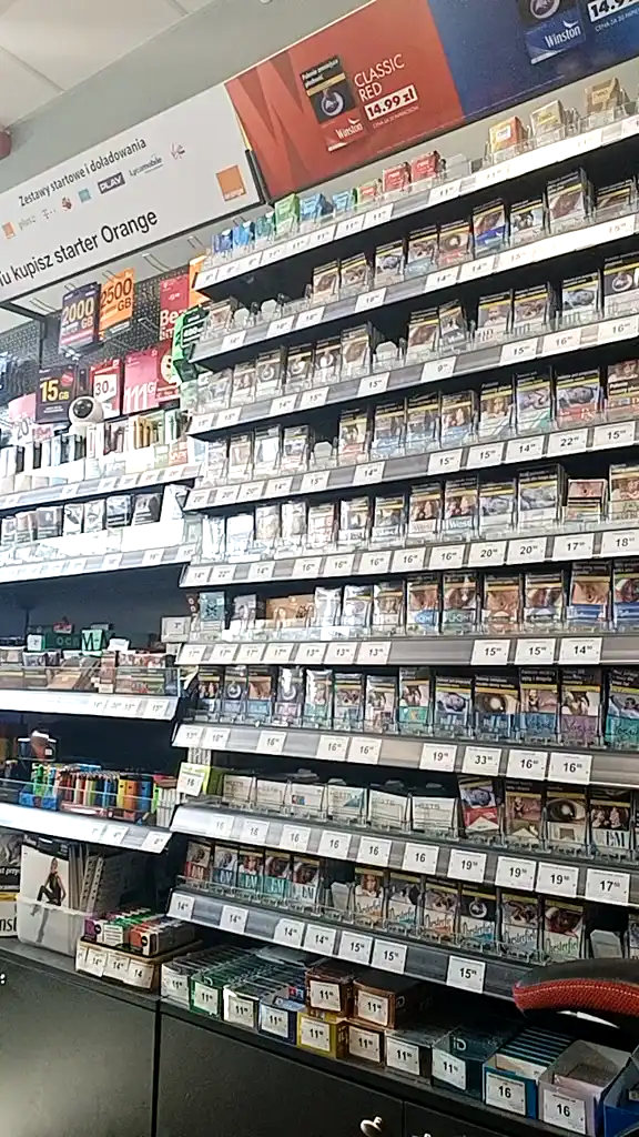 Fajna8 – Showup Recorded Cam Show – 2026-02-03 23:47:00
