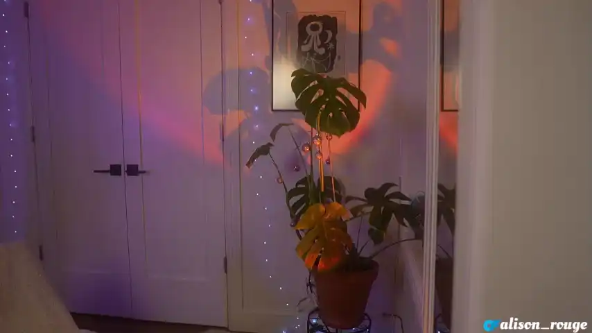 Alisonrouge – Chaturbate Recorded Cam Show – 2025-11-27 08:21:19